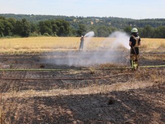 FW-E: Feuerwehr löscht mehrere Flächenbrände - rund 1000 Quadratmeter Fläche brennen im Westviertel