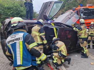 FW-E: Schwerer Verkehrsunfall mit technischer Rettung - eine verletzte Person