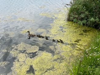 FW-E: Tierischer Einsatz für die Feuerwehr Essen