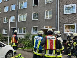 FW-E: Zwei Schäferhunde sterben bei Wohnungsbrand in einem Mehrfamilienhaus