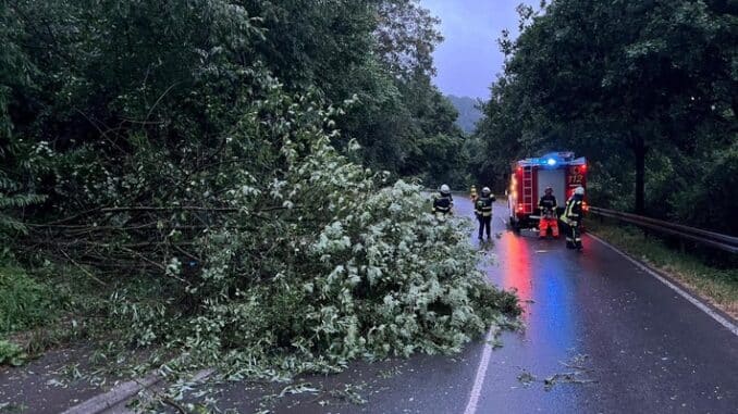 FW-EN: 15 Einsätze für die Hattinger Feuerwehr