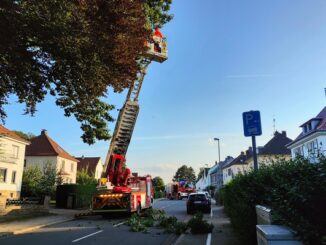 FW-EN: Ast drohte auf Fahrbahn zu fallen