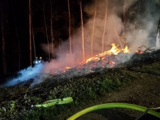 FW-EN: Brand im Gevelsberger Stadtwald