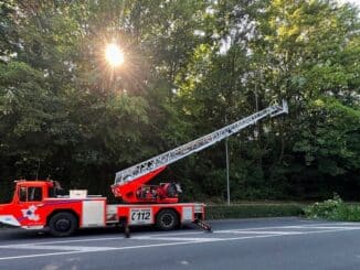 FW-EN: Brandmeldealarm im Kraftwerk - Feuerwehr rettet Mauersegler aus Ratsaal