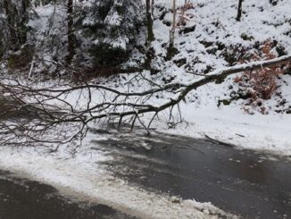 FW-EN: Fahrbahn durch Baum blockiert