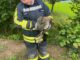 FW-EN: Feuerwehr Hattingen hat breites Einsatzspektrum abgearbeitet