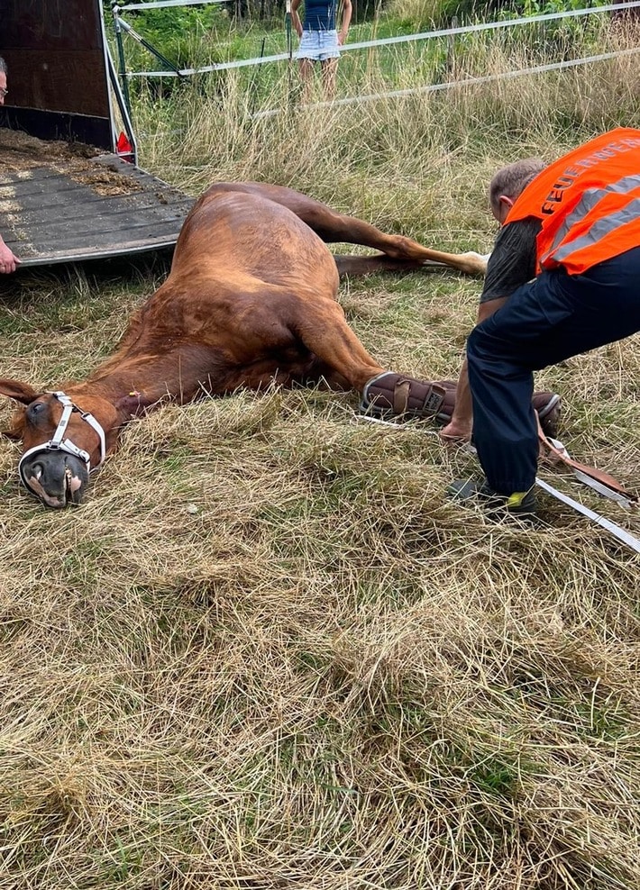 FW-EN: Feuerwehr Hattingen unterstützt bei Tierrettung