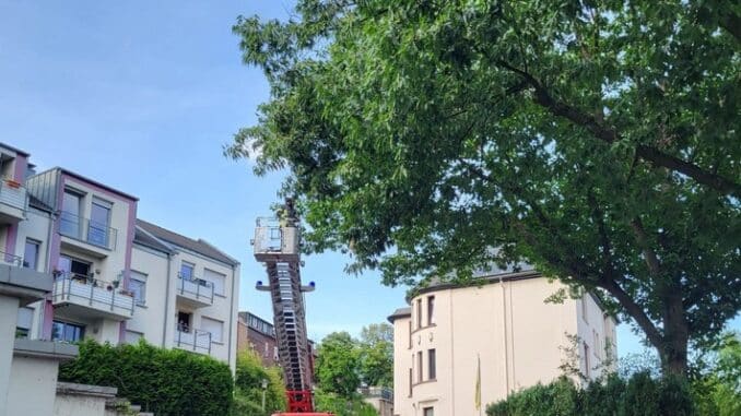 FW-EN: Feuerwehr Wetter (Ruhr) am Wochenende: - Flächenbrand - Gefahrenbaum - Brandmeldealarm -