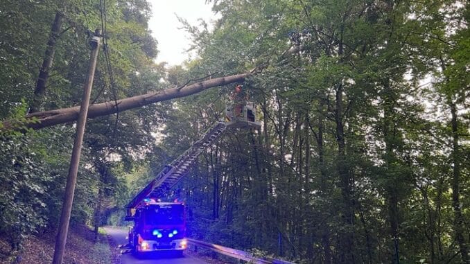 FW-EN: Feuerwehr beseitigt Baum