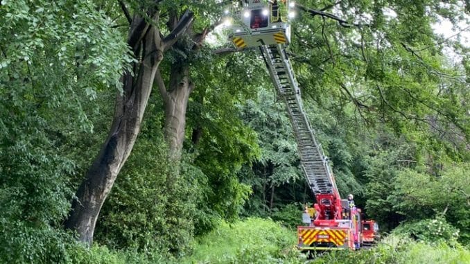 FW-EN: Feuerwehr beseitigt Ölspur und Gefahrenast