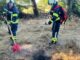 FW-EN: Flächenbrand in Sprockhövel