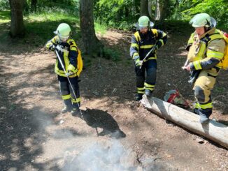 FW-EN: Fünf Einsätze für die Freiw. Feuerwehr - Zwei Brände in Waldgebieten.