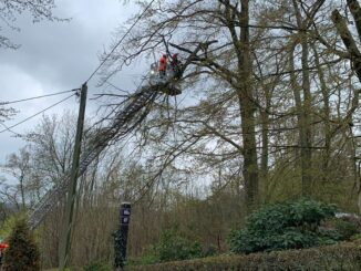 FW-EN: Großer Ast drohte auf Fahrbahn zu stürzen