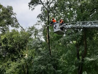 FW-EN: Kurzes Unwetter sorgt für drei Einsätze