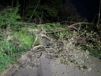 FW-EN: Mehrere Bäume versperren Straße