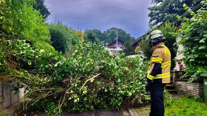 FW-EN: Mehrere Einsätze am Wochenende: Baum im Narzissenweg und angebliches Feuer im Gebäude