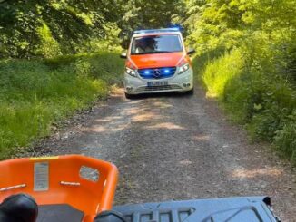 FW-EN: Mehrere Patienten erfolgreich gerettet - Verkehrsunfall an der Poststraße und Unfall im Wald