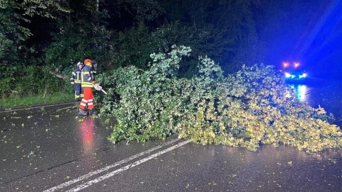 FW-EN: Querspange durch Baum versperrt &amp; Verkehrsunfall auf der Schmiedestraße