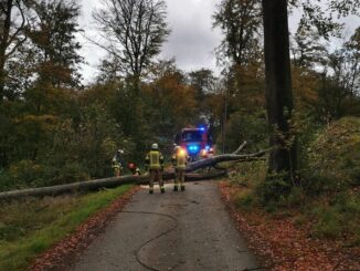 FW-EN: Sturmtief &quot;Ciarán&quot; zeigt sich auch in Gevelsberg