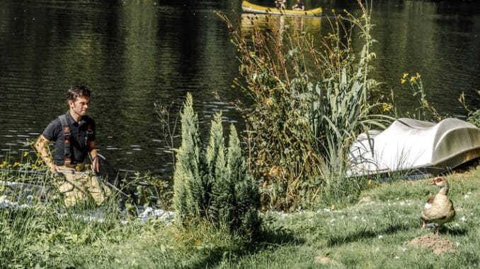 FW-EN: Ungewöhnliches Bild am Beyenburger Stausee: Feuerwehr versucht eine Ente mit Stand Up Paddle zu retten.