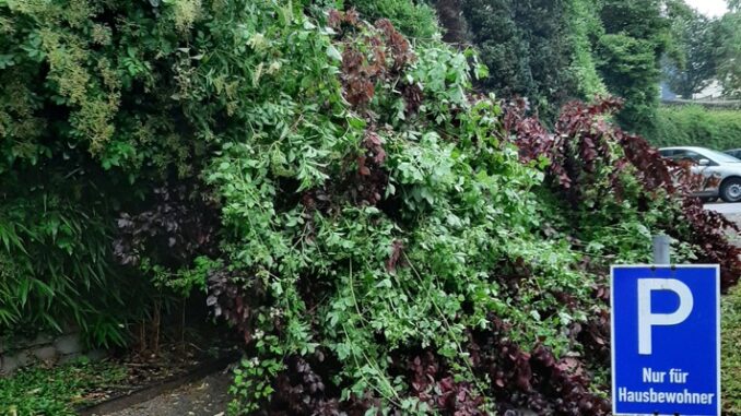 FW-EN: Unwettereinsätze für Wetteraner Wehr