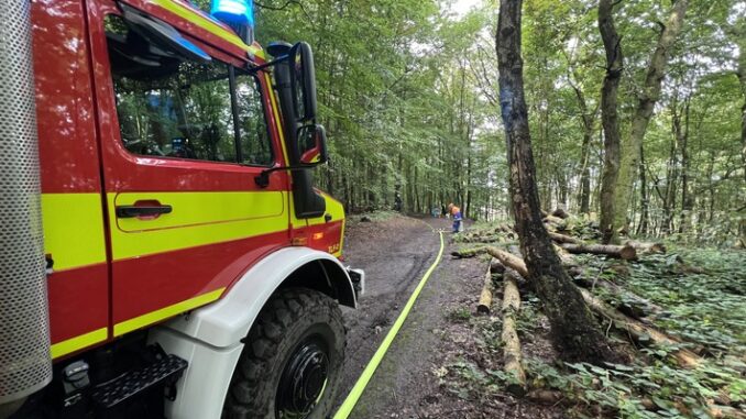 FW-EN: Waldbrandübung der Jugendfeuerwehren aus dem EN-Kreis