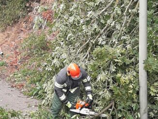 FW-EN: Wetter - Umgestürzter Baum auf der Hagener Straße