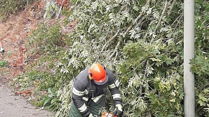 FW-EN: Wetter - Umgestürzter Baum auf der Hagener Straße