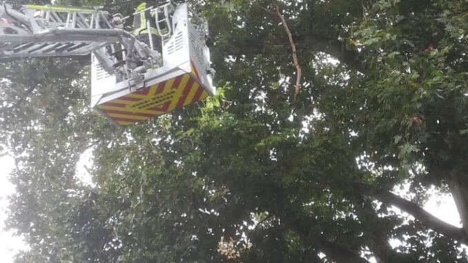 FW-EN: Wetter - Vier kleinere Einsätze am Wochenende
