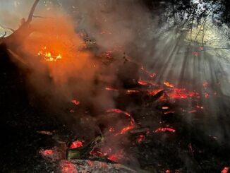 FW-EN: Wetter - Waldbrand und Unterstützung Rettungsdienst