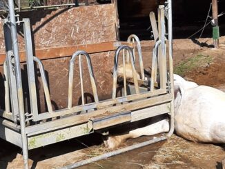 FW-EN: Wetter - bisher ruhige Osterfeiertage für die Feuerwehr Wetter (Ruhr) - zwei Ölspuren, unbekannte Rauchentwicklung und Tierrettung