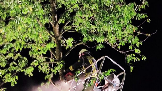 FW Eigeltingen: Stundenlange Unwettereinsätze am 24.8. in Eigeltingen