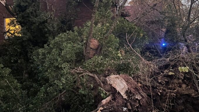 FW Flotwedel: Baum auf Haus - Ortsfeuerwehr Wienhausen eilt zur Hilfe