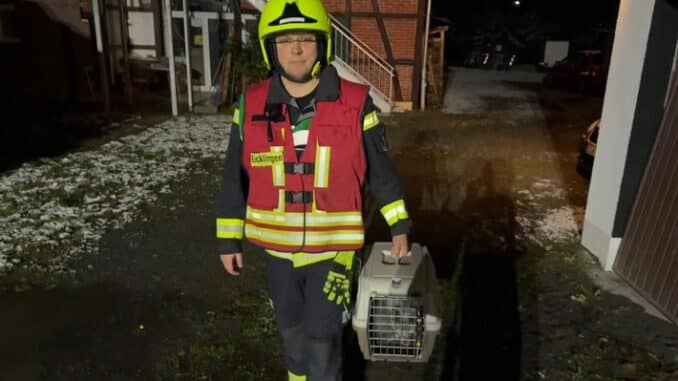 FW Flotwedel: Möglicher Kohlenmonoxidaustritt - Feuerwehr rettet zwei Katzen
