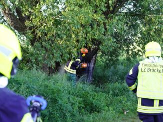 FW Flotwedel: Ortsfeuerwehr Bröckel löscht brennenden Baum