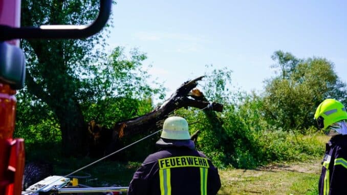 FW Flotwedel: Ortsfeuerwehr Bröckel rückt zu Nachlöscharbeiten nach morgendlichem Brand aus