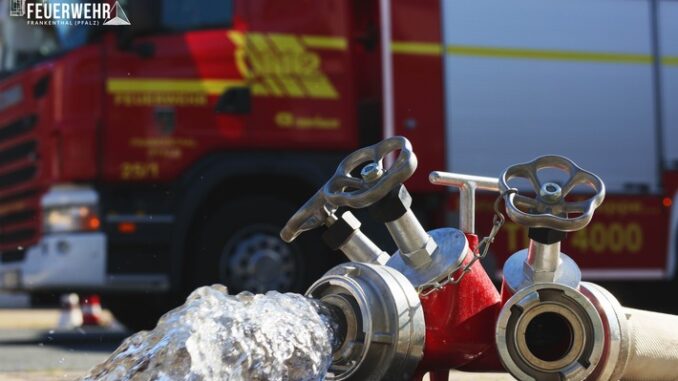 FW Frankenthal: Brand eines Bürocontainers und angrenzende Grünfläche