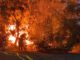 FW Frankenthal: Gartenhausbrand in Frankenthal-Eppstein