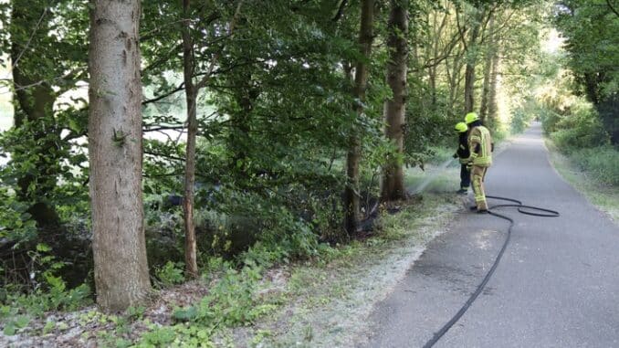 FW Gangelt: Vegetationsbrand am Waldrand in Gangelt