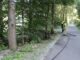 FW Gangelt: Vegetationsbrand am Waldrand in Gangelt