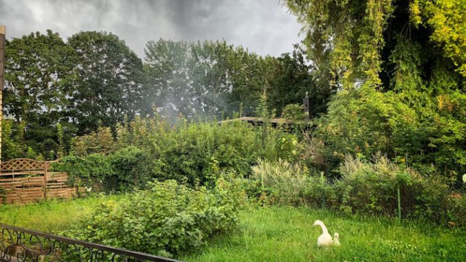 FW Grevenbroich: Brand in ehemaligem Grevenbroicher Stellwerksgebäude / Feuerwehr löscht Feuer im Holzboden