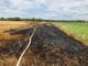 FW Grevenbroich: Einsatzreicher Freitag für die Feuerwehr Grevenbroich - Brände von PKW, Feld und Lagerhalle halten Feuerwehr in Atem