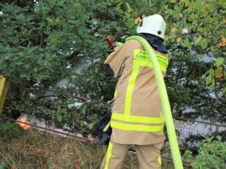 FW Grevenbroich: Rund 7600 Quadratmeter Gestrüpp und Wald bei Grevenbroich in Flammen / Schnelles Eingreifen der Wehr verhindert größeren Waldbrand