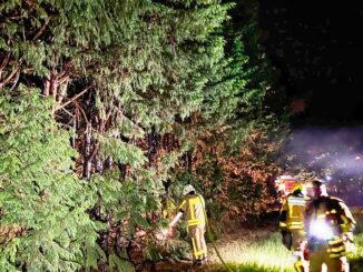 FW Grevenbroich: Stundenlange Löscharbeiten in brennender Grünanlage / Brand zahlreicher Bäume fordert Einsatzkräfte bis weit nach Mitternacht