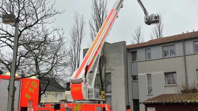 FW Hannover: Katze mit Teleskopmastbühne aus Baum gerettet