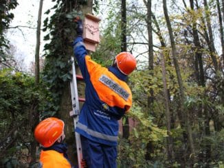 FW-Heiligenhaus: Ein neues Sommerquartier für die Heljens-Fledermäuse (Meldung 33/2021)