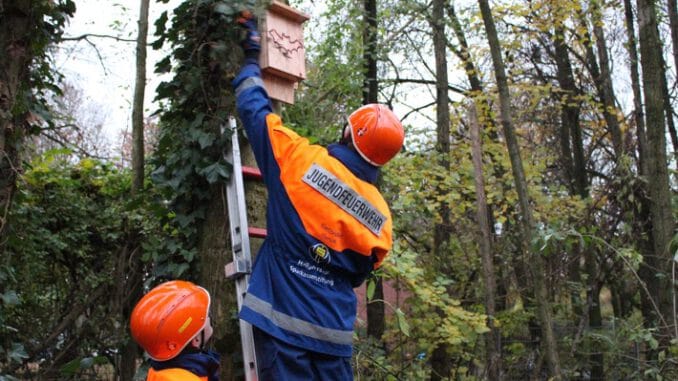 FW-Heiligenhaus: Ein neues Sommerquartier für die Heljens-Fledermäuse (Meldung 33/2021)