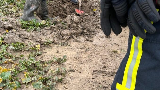 FW Horn-Bad Meinberg: Dackel &quot;Dasty&quot; steckt in Betonrohr - erfolgreiche Befreiung einen Tag vor seinem Geburtstag