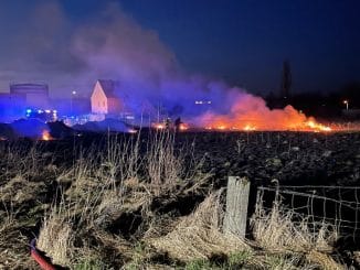 FW Horn-Bad Meinberg: Wiese auf 1000qm abgebrannt - Feuer drohte auf Gewerbekomplex überzugreifen