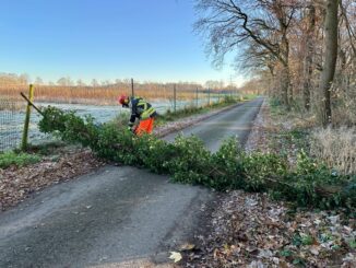 FW Hünxe: Baum blockierte Straße